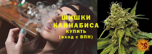 гидра Покров