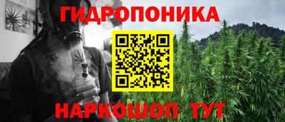 сатива Комсомольск-на-Амуре