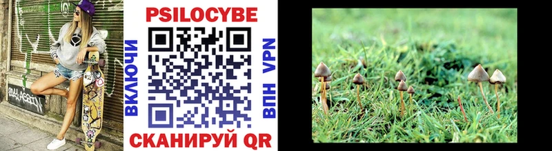 Галлюциногенные грибы GOLDEN TEACHER  Азов 